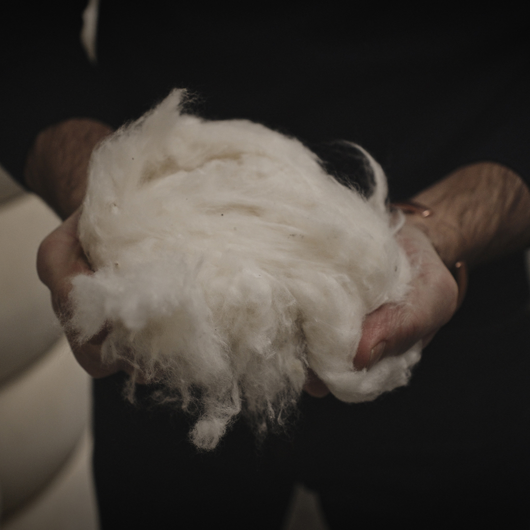 Candiani Denim Milano Italia