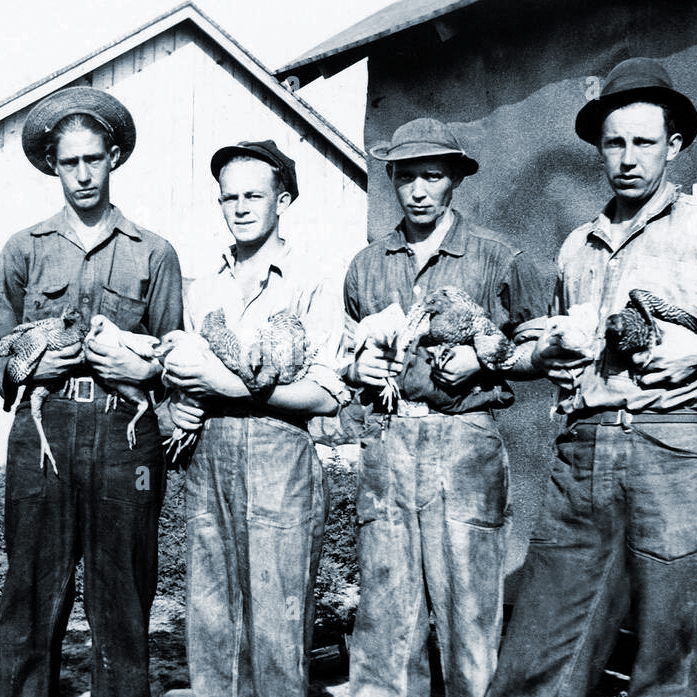 1940 Army Denim
